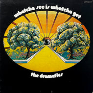 DRAMATICS / Whatcha See Is Whatcha Get (VIP-5017, LP)