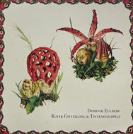Dominik Eulberg / Roter Gitterling & Tintenfischpilz (Apus Apus – Apus Apus 2, 12inch)