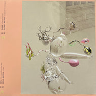 ABSL, Sugar, Anetha / Don't Rush To Grow Up (Mama Told Ya – MTY 001, 12inch)