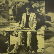 SHINTARO SAKAMOTO  坂本慎太郎 / ナマで踊ろう Let's Dance Raw (Zelone Records – zel-013, LP)