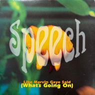 SPEECH / Like Marvin Gaye Said (What's Going On) (Y-58494, 12inch)