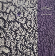 Diod / Fructose EP (Delaze Remixes) (Sino – SINO30, 12inch)