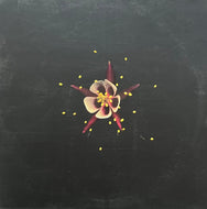 FRIDGE / Happiness (Temporary Residence Limited – TRR43LP, 2LP) Color Vinyl