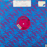 BIG DADDY KANE / Raw / Word To The Mother (Land) W 7953 (T), 12inch