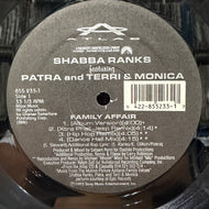 SHABBA RANKS / Family Affair ( 855 233-1, 12inch)