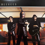 BEE GEES / This Is Where I Came In (DJ Domino Remixes) 314 587 696-1, 12inch