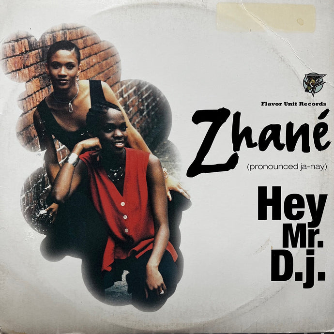 ZHANE / Hey Mr. D.J. (49 77121, 12inch) – TICRO MARKET