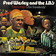 FRED WESLEY AND THE J.B.'S / Damn Right I Am Somebody (PE 6602, LP) Reissue