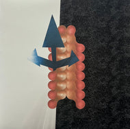 Wata Igarashi & Polygonia / Cross Passage (Reclaim Your City – RYCL.024, 12inch) Red & White Marbled Vinyl