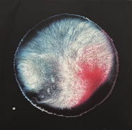 Bryce Hackford / New Needs For Safety (Spring Theory – ST011, 12inch)