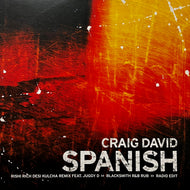 CRAIG DAVID / Spanish (12 WILD 49, 12inch)