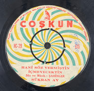 SUKRAN AY / Hani Söz Vermiştin İçmeyecektin (7inch)