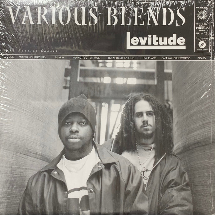 Various Blends / Levitude 2LP レコード VARIOUS BLENDS / Levitude (BKA 0015 LP, 2LP) – TICRO MARKET