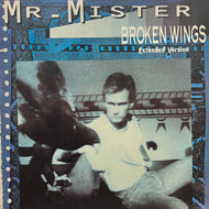 MR. MISTER / Broken Wings (RCA – PT 49946, 12inch)
