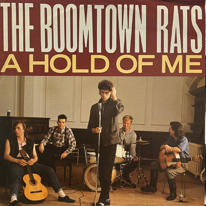 BOOMTOWN RATS / A Hold Of Me (Mercury – MERX 184, 12inch)