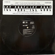 ICE CUBE / You Know How We Do It (12 BRW 303 DJ, 12inch) Promo