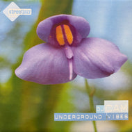 DJ CAM / Underground Vibes (cam lp 004, LP)