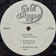 V.A. (Sandra Melody, TLC) / Gold Digger Vol. 1 12inch