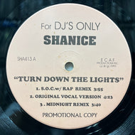 SHANICE / Turn Down The Lights / I Like (SHA413, 12inch)