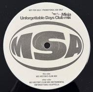 MISIA / 忘れない日々 (Unforgettable Days) Hex Hector's Club Mix (BMG 12inch)