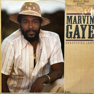 MARVIN GAYE / Sanctified Lady (TA 4894, 12inch)