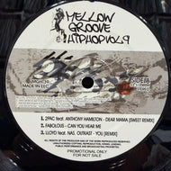 V.A. (2Pac, Scarface) / Mellow Groove Hiphop Vol.9 (MGH-39, 12inch)