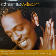 CHARLIE WILSON / Absolutely (URSDJ 2, 12inch)
