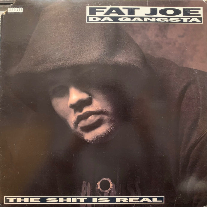 FAT JOE DA GANGSTA / The Shit Is Real (88561-1214-1, 12inch) US Origin –  TICRO MARKET