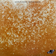 MICHAEL FRANKS / Sleeping Gypsy (Antonio's Song) (P-10306W, LP)