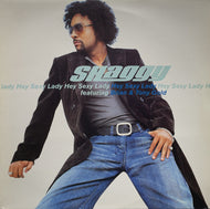 SHAGGY / Hey Sexy Lady (MCA Records, MCST 40304, 12inch)