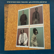 BRAND NEW HEAVIES / You Are The Universe (FFRR – BNHX9, 12inch)