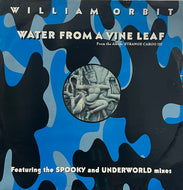 WILLIAM ORBIT / Water From A Vine Leaf (Virgin – VST 1465, 12inch)
