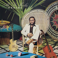 AL DI MEOLA / Casino (LP)
