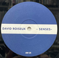 DAVID ROISEUX / Senses (Arrival Works – AW 01, 12inch)