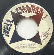 MIGHTY DIAMONDS / Tell Me What's Wrong (Well Charge – JJ-1310, 7inch)