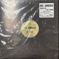 MR.CHEEKS / Turn It Up / All I Know (cr-1002, 12inch)