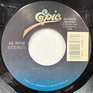 COVER GIRLS / Wishing On A Star / Funk Boutique (34-74343, 7inch)