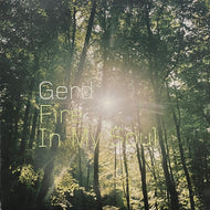 GERD / Fire In My Soul (Life Enhancing Audio, 12inch)