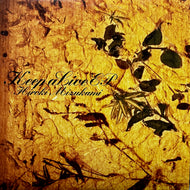 HIROKI MIZUKAMI / Keep Alive EP (GTXL-003, 12inch)