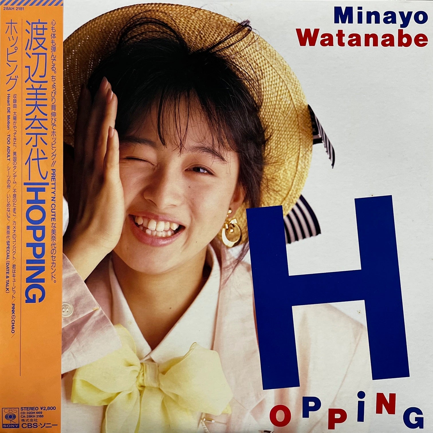 渡辺美奈代ホッピング