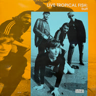 Live Tropical Fish / Butt (ICP 061, 12inch)