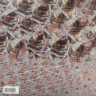Big Hands / The Vulgarity Of Snow (TEETH003, 12inch)