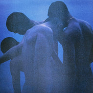 ZIN / Curve ( BHOYZVB-1201, LP)