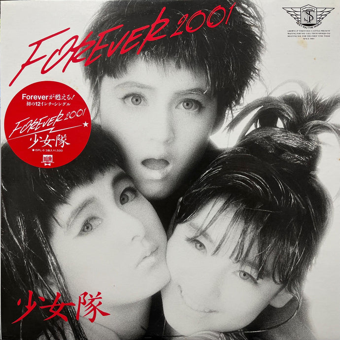 少女隊共和国 少女隊 / Flamingo Island (15PL-6, 12inch) – TICRO MARKET