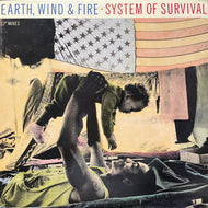 EARTH WIND & FIRE / System Of Survival (44 07475, 12inch)
