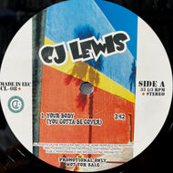 CJ LEWIS / Your Body (CL-08, 12inch)