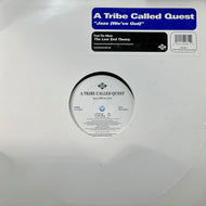 A TRIBE CALLED QUEST / Jazz (We've Got) (01241-42035-1, 12inch) Reissue