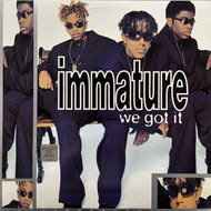 IMMATURE / We Got It (MCA 11385, LP)