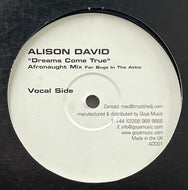 ALISON DAVID / Dreams Come True (Afronaught Mix) (Goya Music – AD001, 12inch)