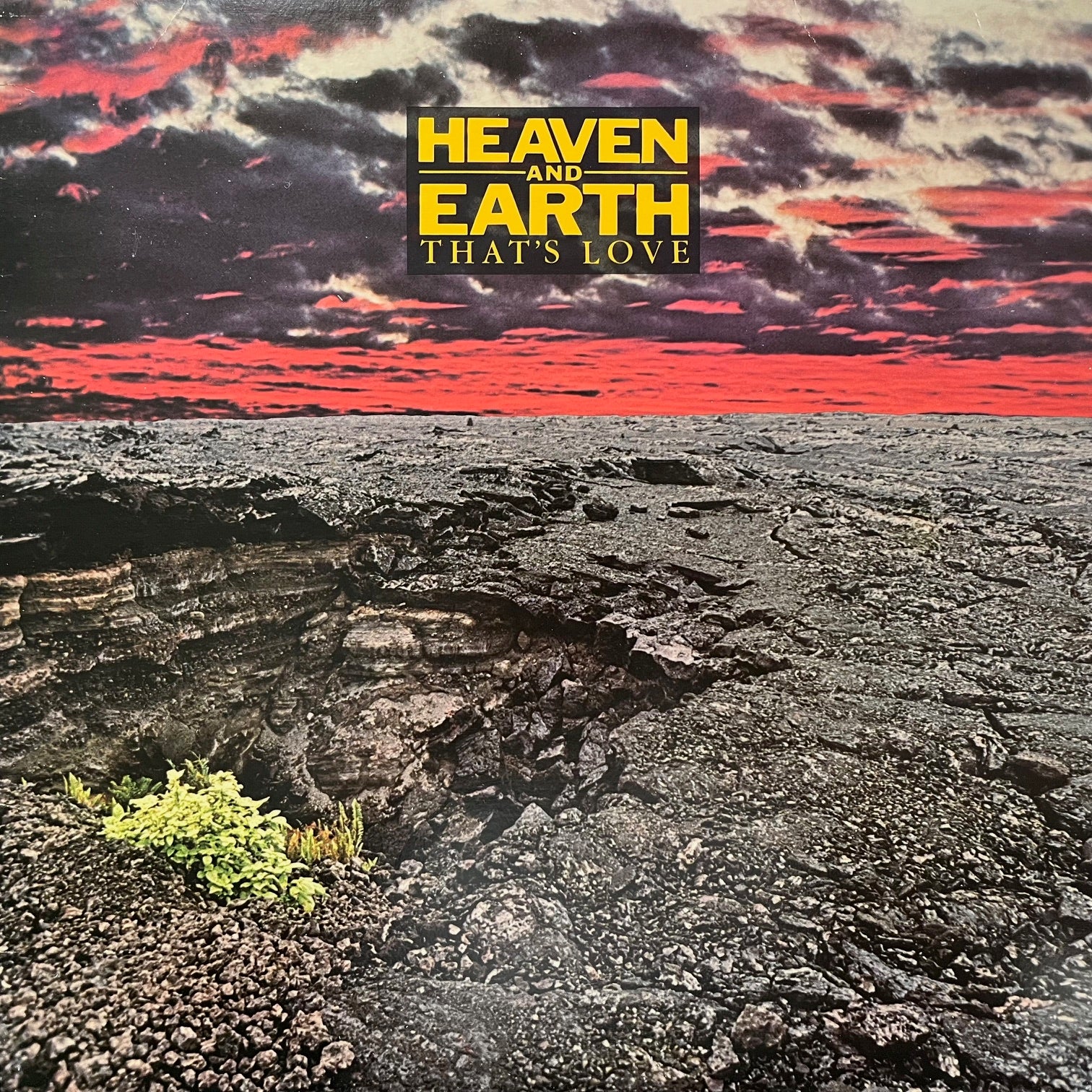 HEAVEN AND EARTH / That's Love (JW-37074, LP)